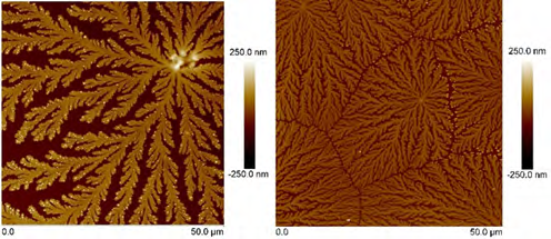 Experimental Analysis of Tear Fluid and their Processing for the Diagnosis of Multiple Sclerosis