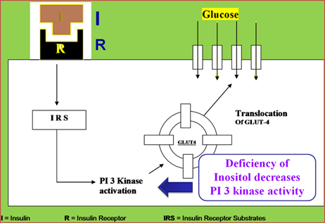 Role of Myoinositol in Reducing Insulin Resistance in PCOS Patients