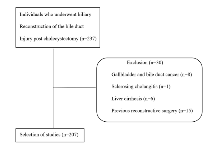 Ductular Proliferation and Fibrosis as Predictors of Poor Outcome in Patients with Bile Duct Injury https://doi.org/10.47829/COS.2024.11101