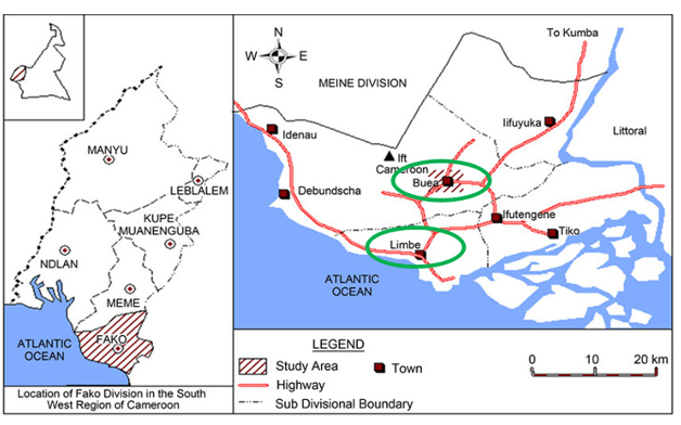 Clinical Profile, Management, and Outcomes of Chest Injury Patients in Level III Hospitals in the Southwest Region of Cameroon